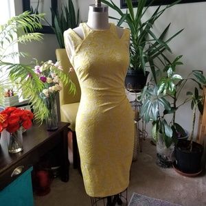 Cache Fiited Day Dress